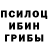 Галлюциногенные грибы GOLDEN TEACHER sravanth ch