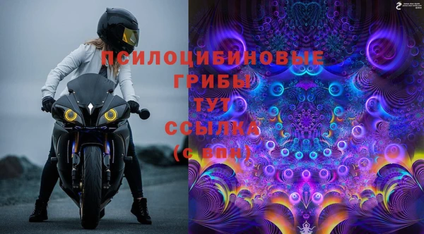 крисы Балахна
