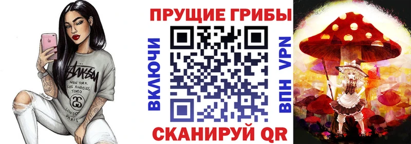 Псилоцибиновые грибы MAGIC MUSHROOMS  цена   Курильск 